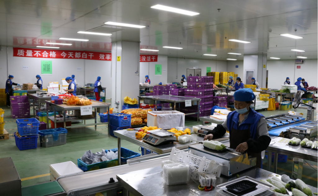 2025年澳门免费原料网