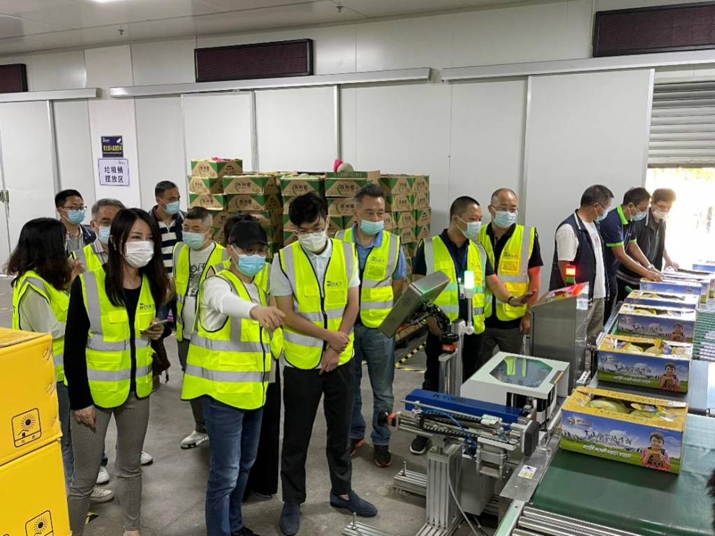 2025年澳门免费原料网