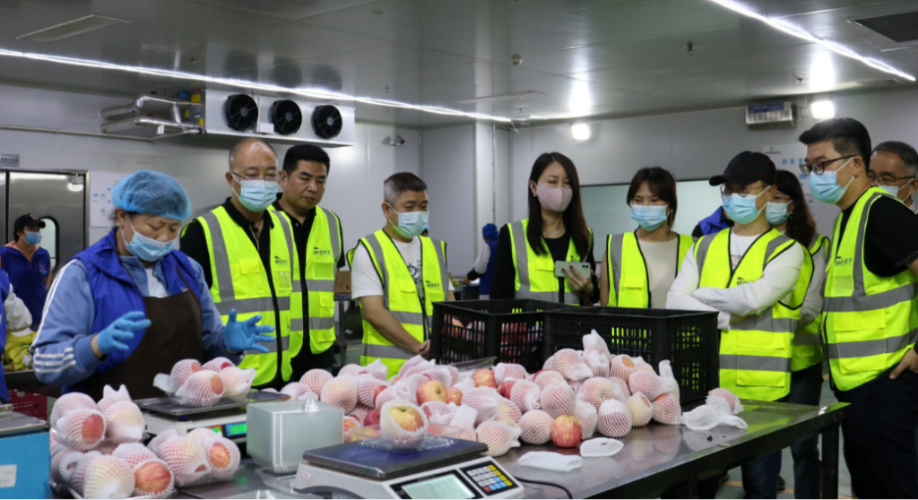 2025年澳门免费原料网