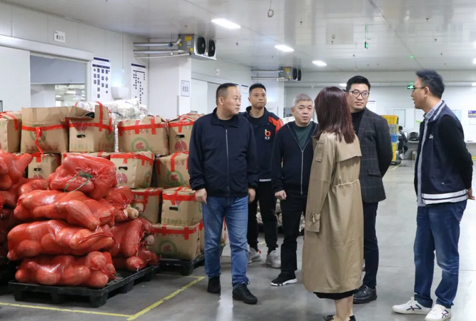 2025年澳门免费原料网