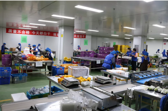 2025年澳门免费原料网