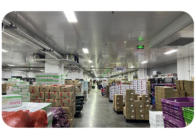 2025年澳门免费原料网