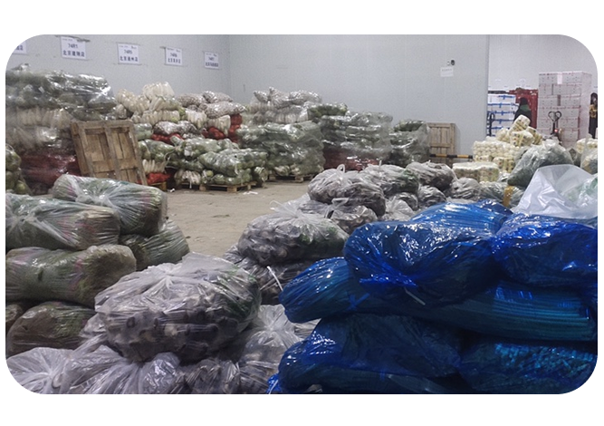 2025年澳门免费原料网