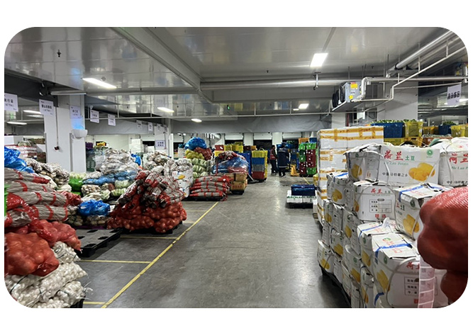 2025年澳门免费原料网