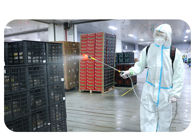 2025年澳门免费原料网